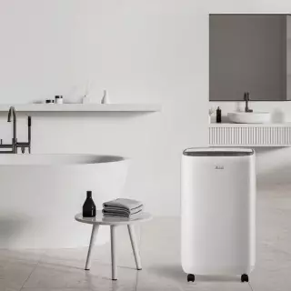 ARDES DEHU12 Páramentesítő