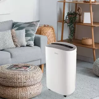 ARDES DEHU20 Páramentesítő 