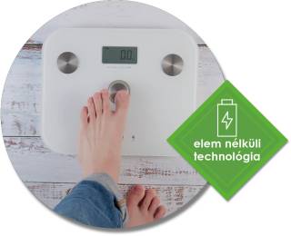 Ardes 2PPBFM digitális személyi mérleg – elegáns üveg felület