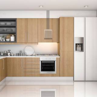 cata professional 500