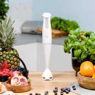 zelmer zhb4560s botmixer